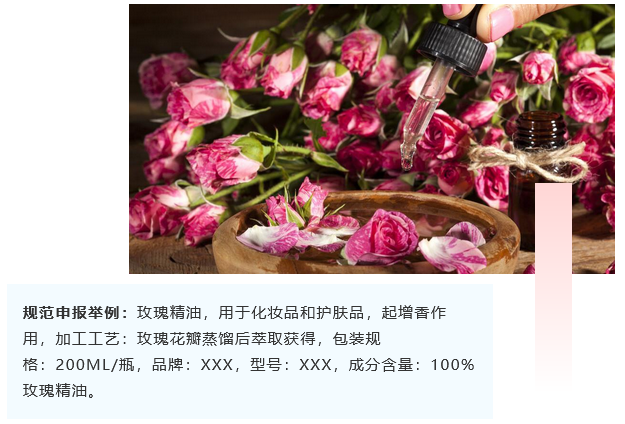 <a href='http://www.colinivy.cn' title='危險品海運' >危險品海運</a>