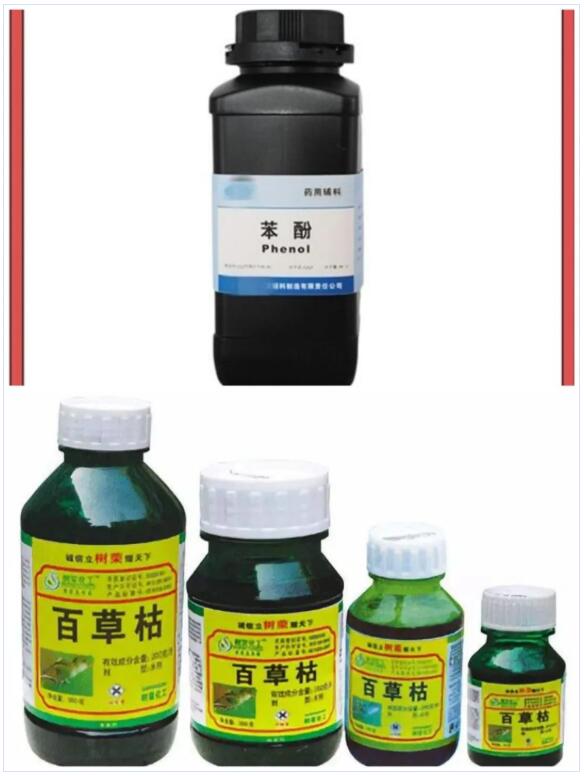 <a href='http://www.colinivy.cn' title='國際貨運代理' >國際貨運代理</a>